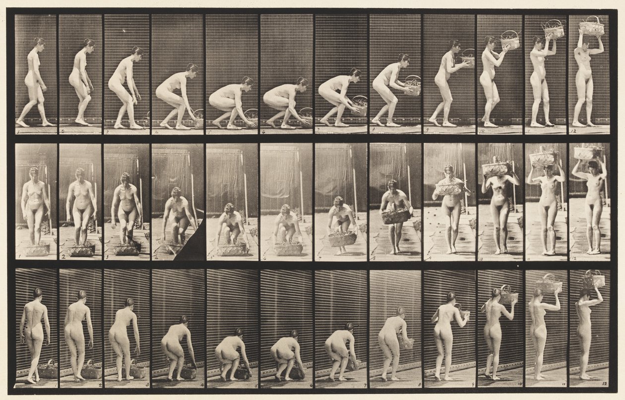 Planche 221. Se pencher et soulever un panier de 12 lb à la tête - Eadweard Muybridge