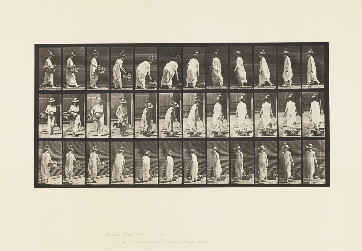 Poser un panier par terre et se retourner - Eadweard Muybridge