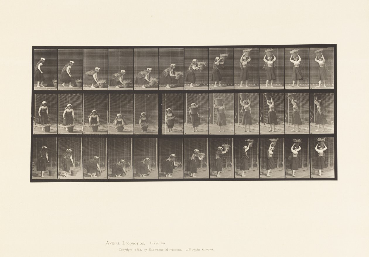 Planche 230. Soulevant un panier de 30 lb du sol à la tête, tournant, 1885 - Eadweard Muybridge