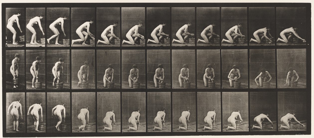 Planche 252. Agenouillé sur le genou droit et frottant le sol, 1872-1885 - Eadweard Muybridge