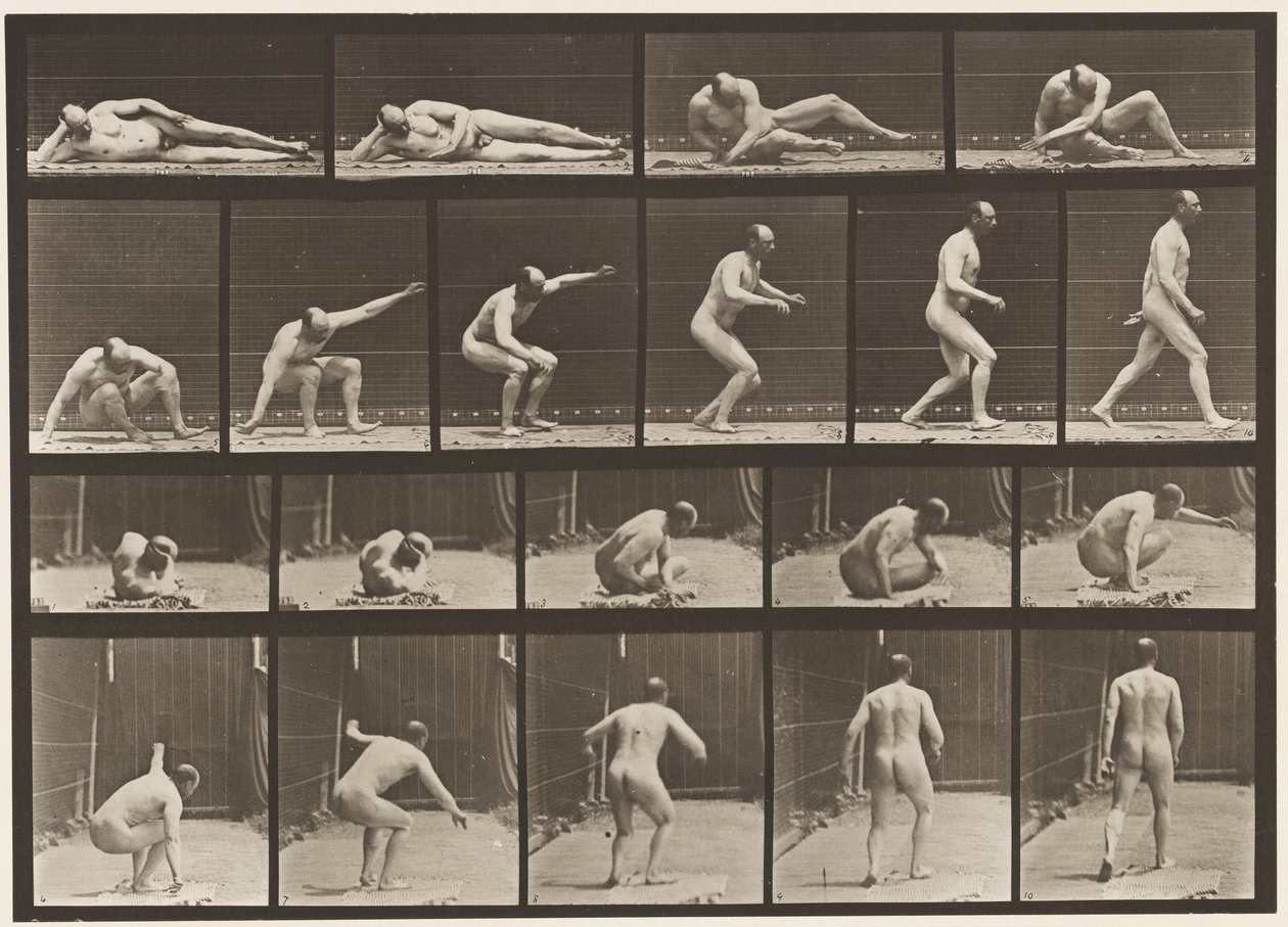 Planche 258. Se lever du sol et partir - Eadweard Muybridge