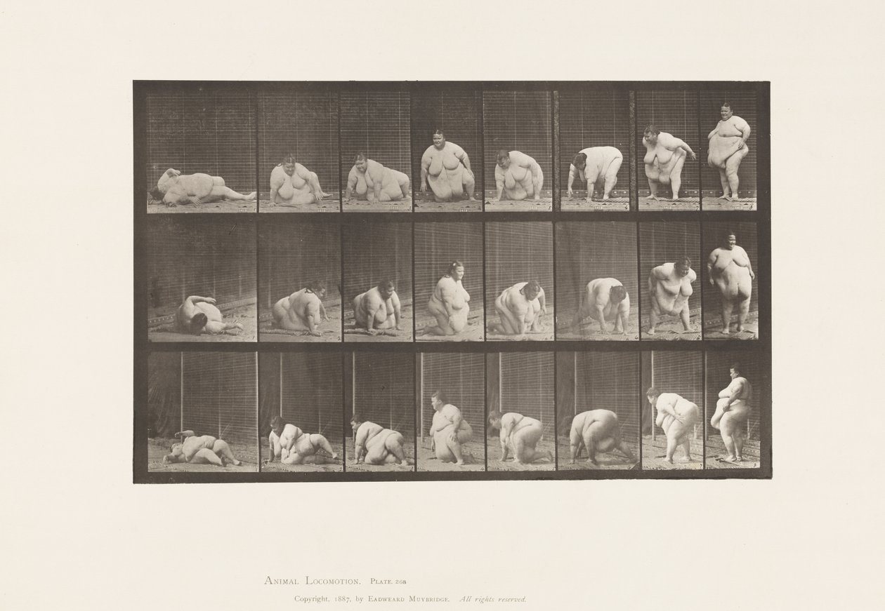Planche 268. Se lever du sol - Eadweard Muybridge