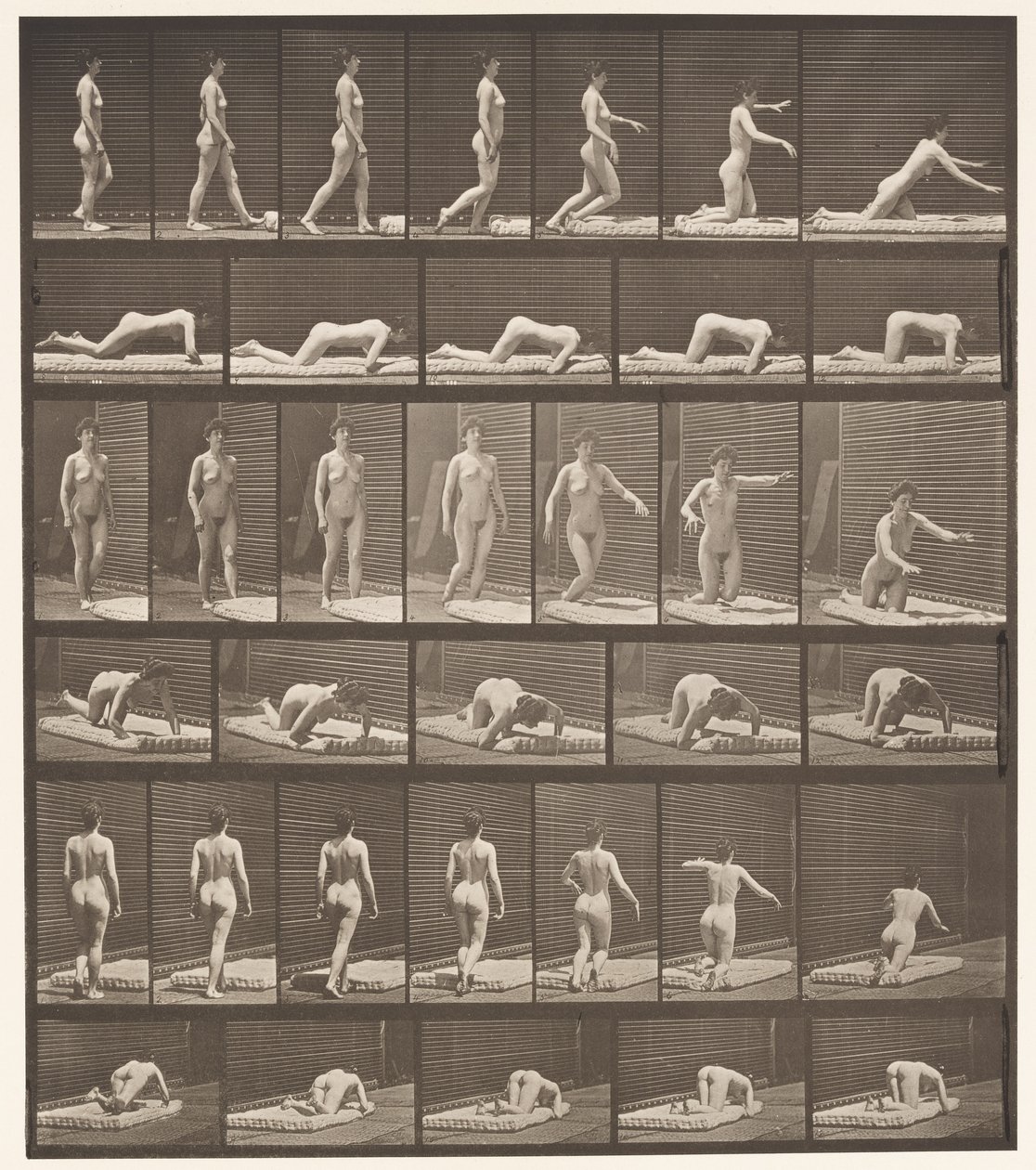 Planche 272. Trébucher et tomber au sol - Eadweard Muybridge