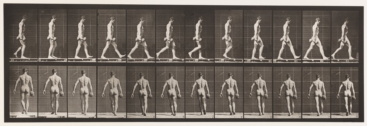 Marche, portant un haltère de 50 lb dans la main droite, 1872-1885 - Eadweard Muybridge
