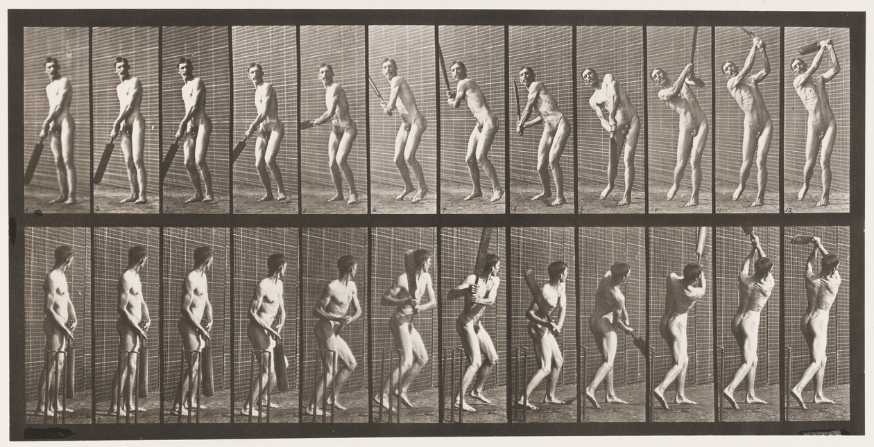 Cricket; Battre; Conduire, 1885 - Eadweard Muybridge