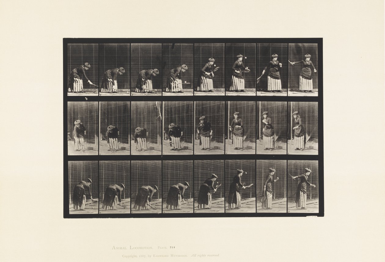 Planche 295. Tennis sur gazon; Service - Eadweard Muybridge
