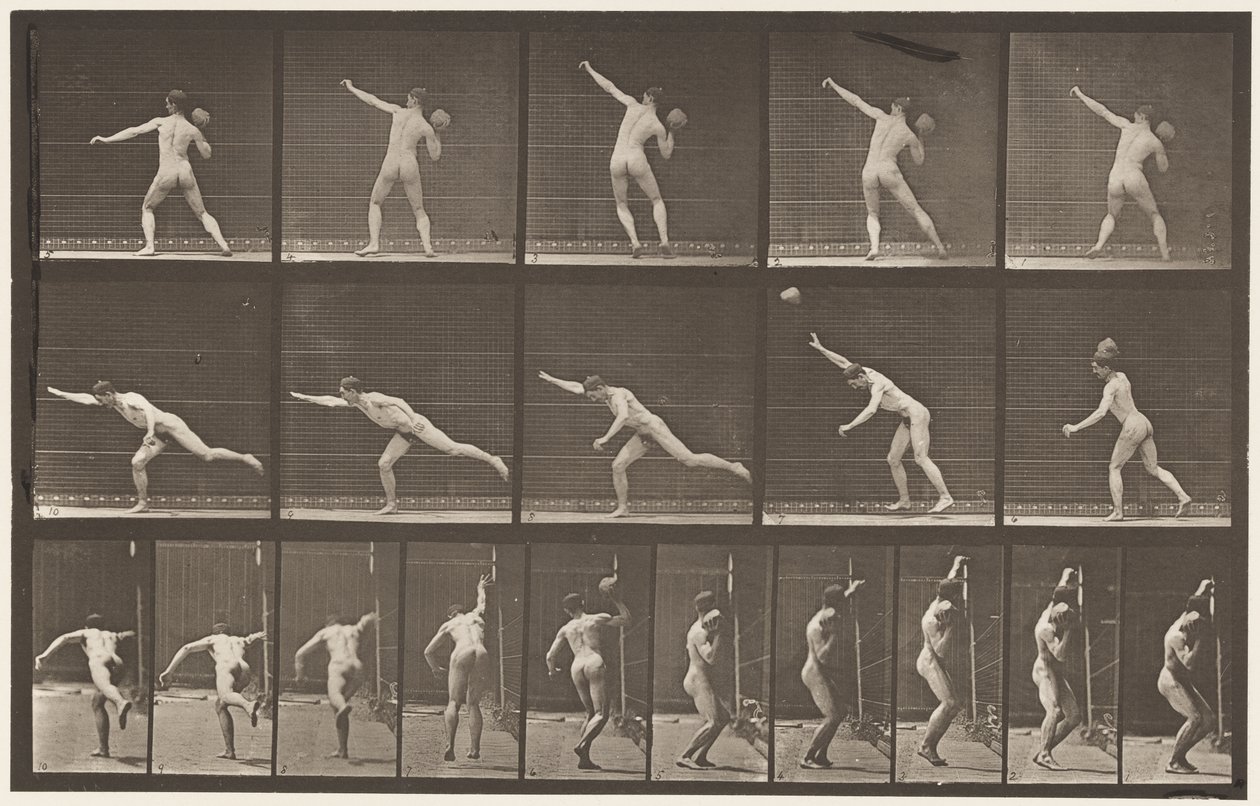 Planche 313. Soulever une pierre de 20 lb, 1885 - Eadweard Muybridge