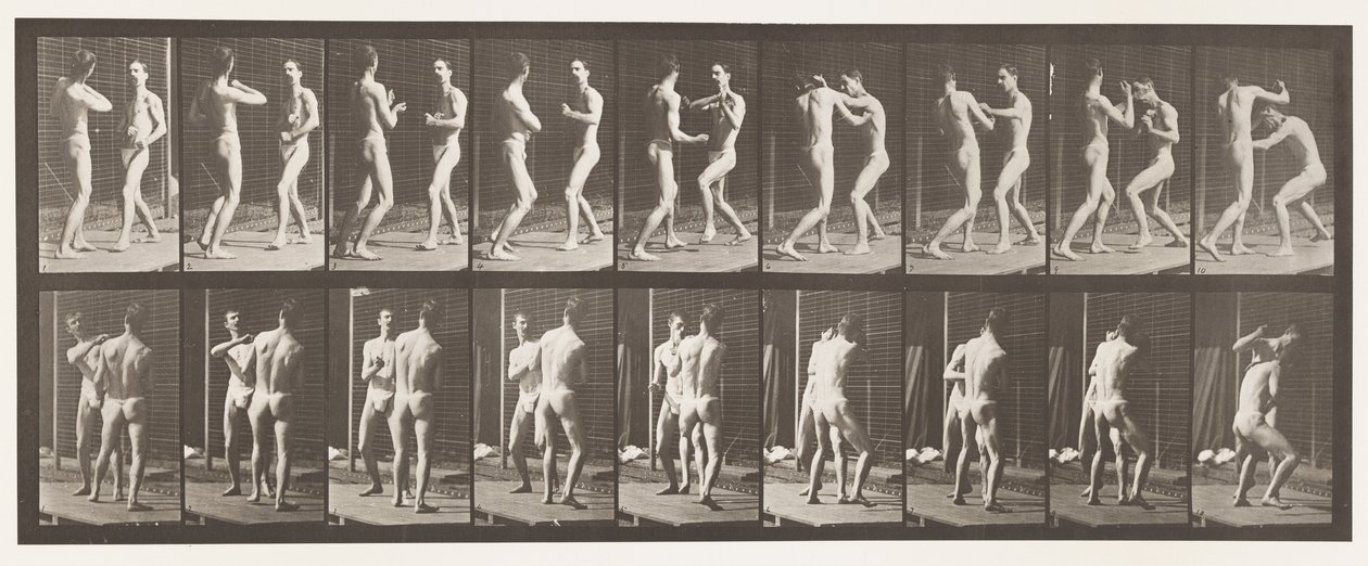 Planche 339. Boxe; Main ouverte - Eadweard Muybridge