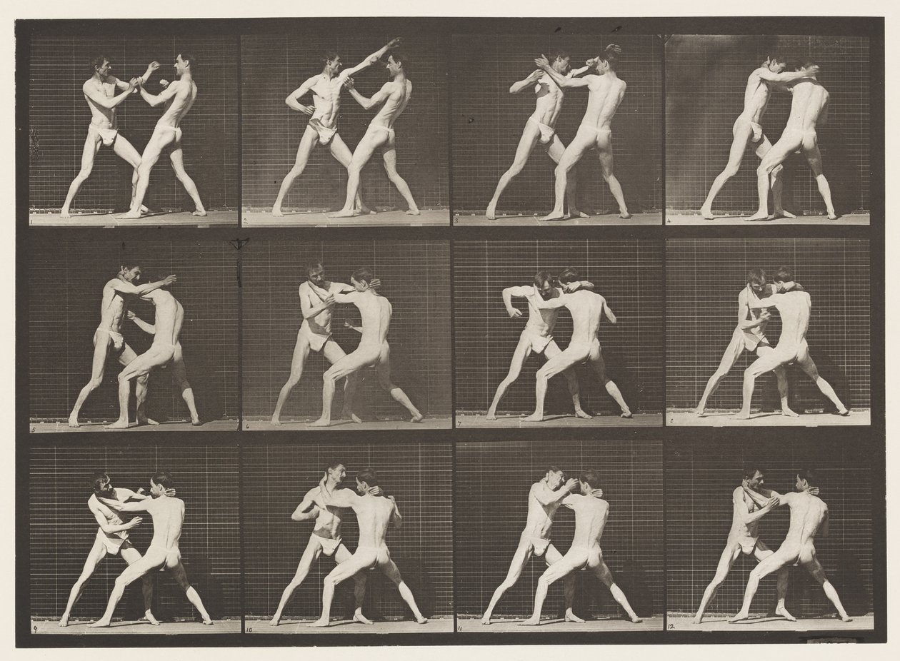 Plaque 340. Boxe; main ouverte - Eadweard Muybridge