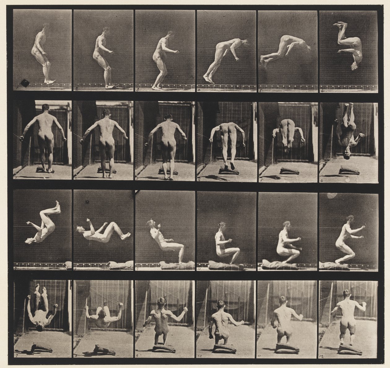 Saut Périlleux en Courant, 1885 - Eadweard Muybridge