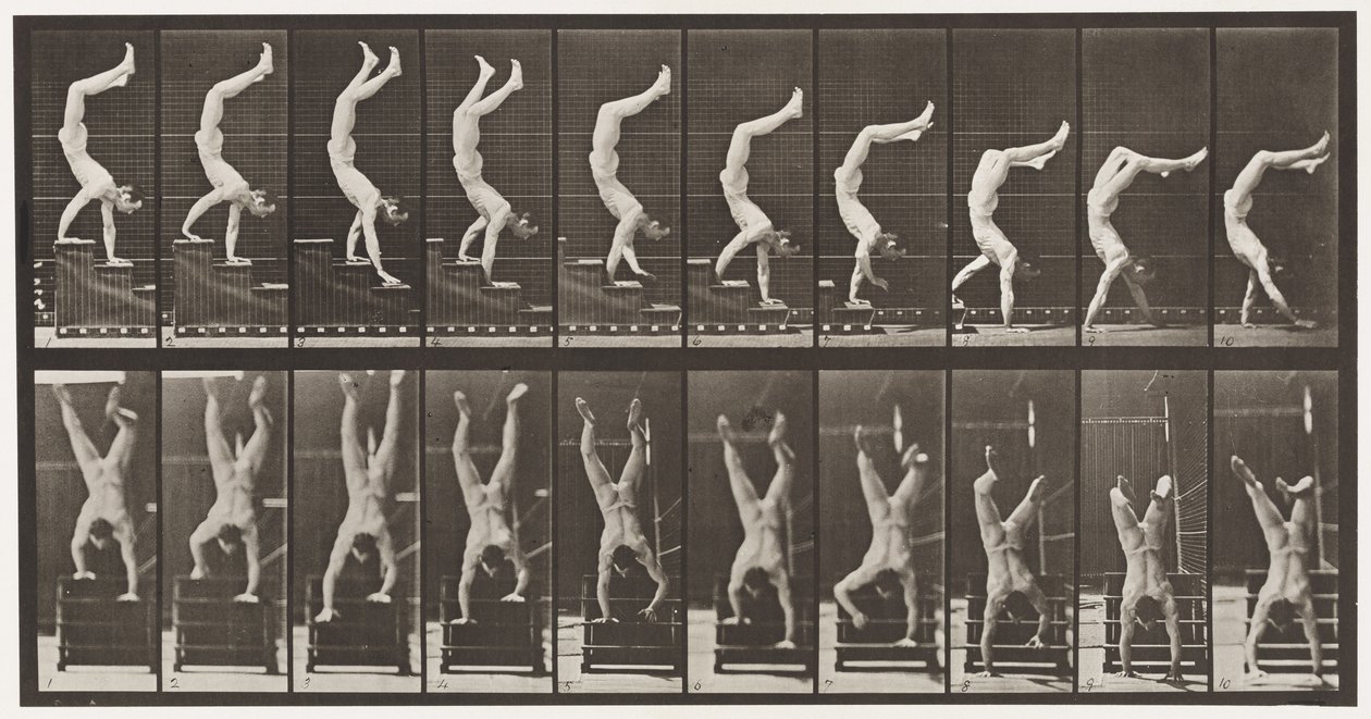 Acrobate, descendre les escaliers sur les mains - Eadweard Muybridge