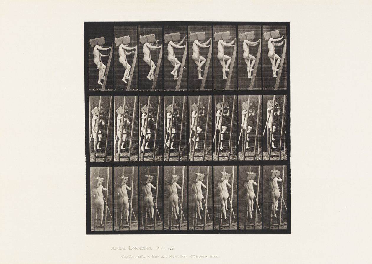 Planche 405. Transport de briques sur une échelle - Eadweard Muybridge