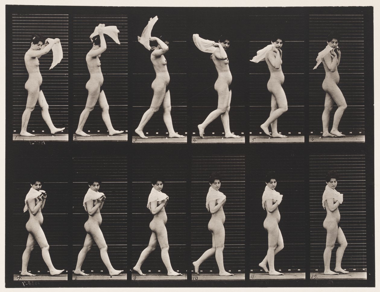 Plaque 40. Marcher en jetant un mouchoir sur les épaules - Eadweard Muybridge