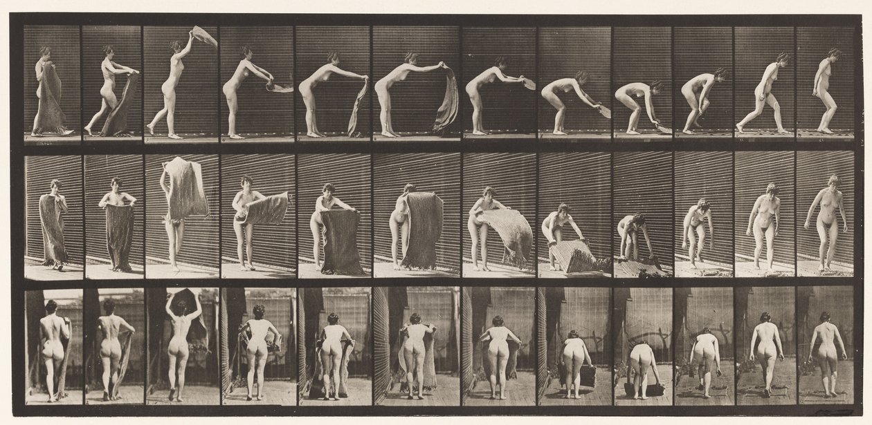 Planche 439. Étendre un tapis sur le sol - Eadweard Muybridge