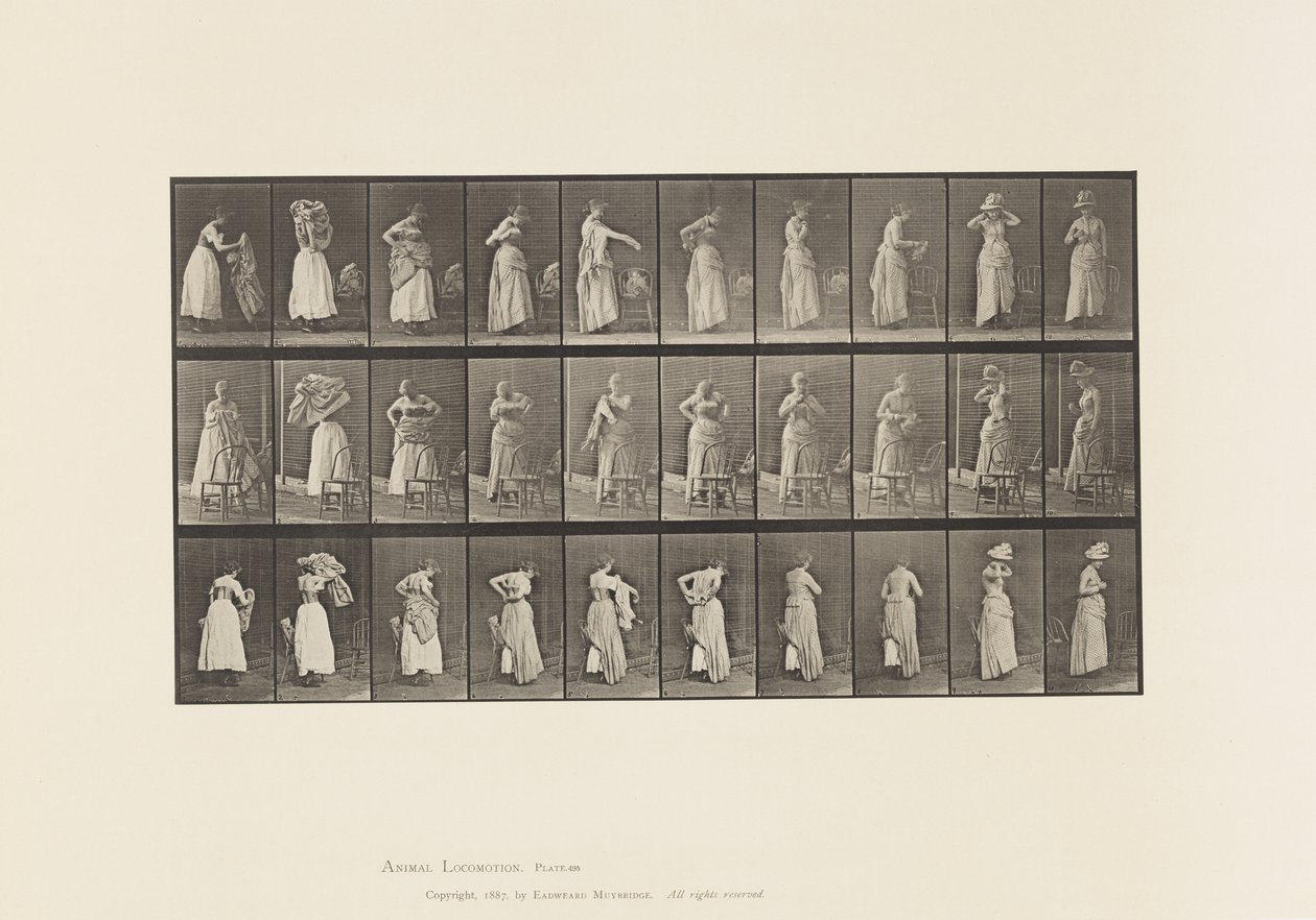 Planche 495. Phases diverses de la toilette - Eadweard Muybridge