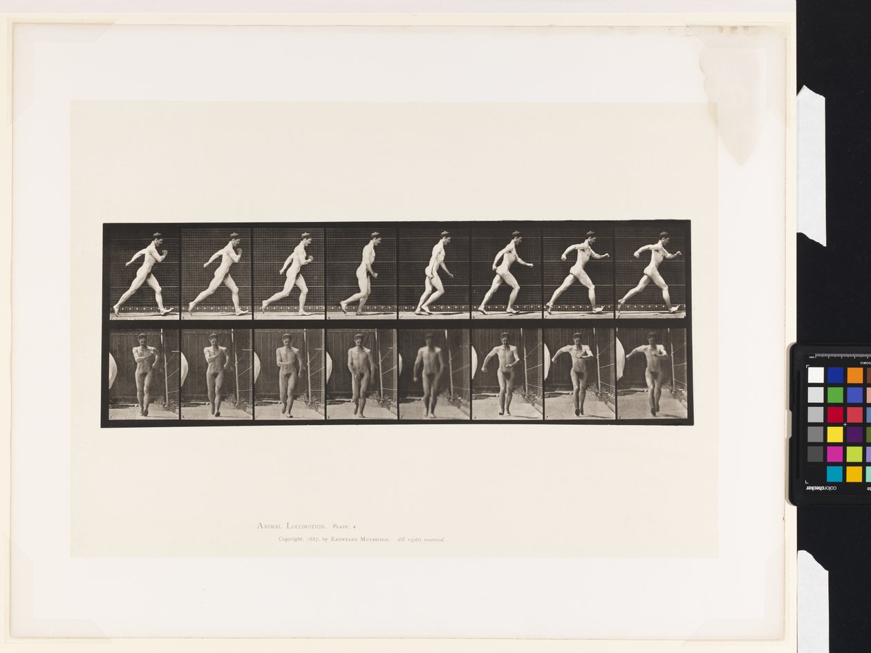 Planche 4. Marche - Eadweard Muybridge