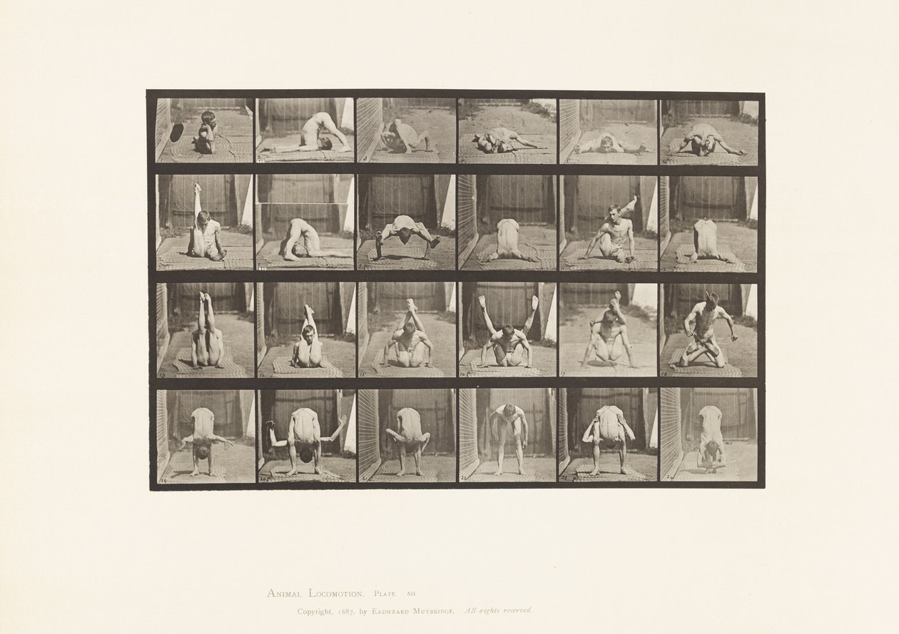 Planche 511. Contorsions au sol - Eadweard Muybridge