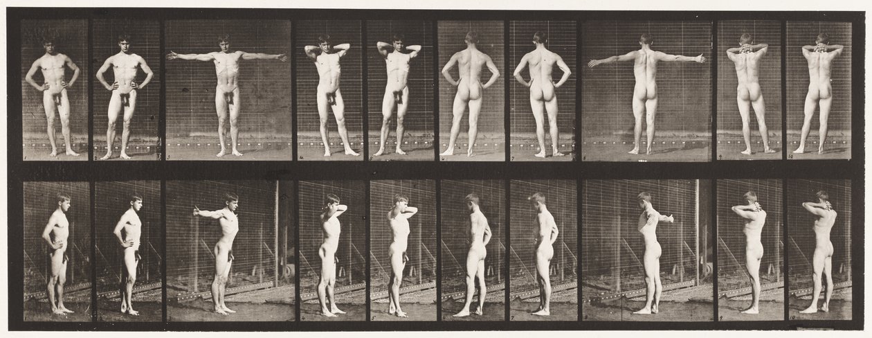 Planche 529. Diverses poses - Eadweard Muybridge
