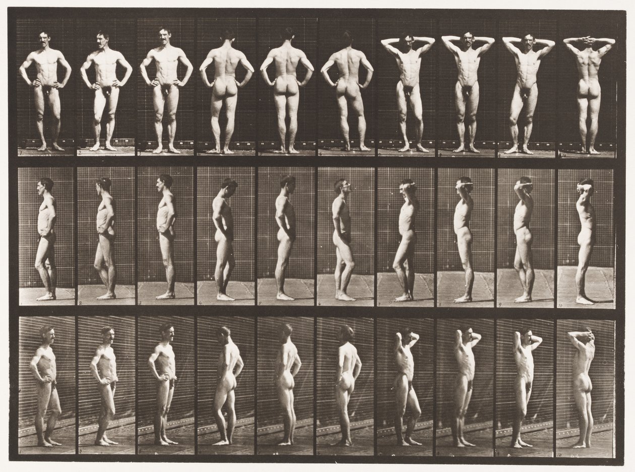 Planche 530. Diverses poses - Eadweard Muybridge