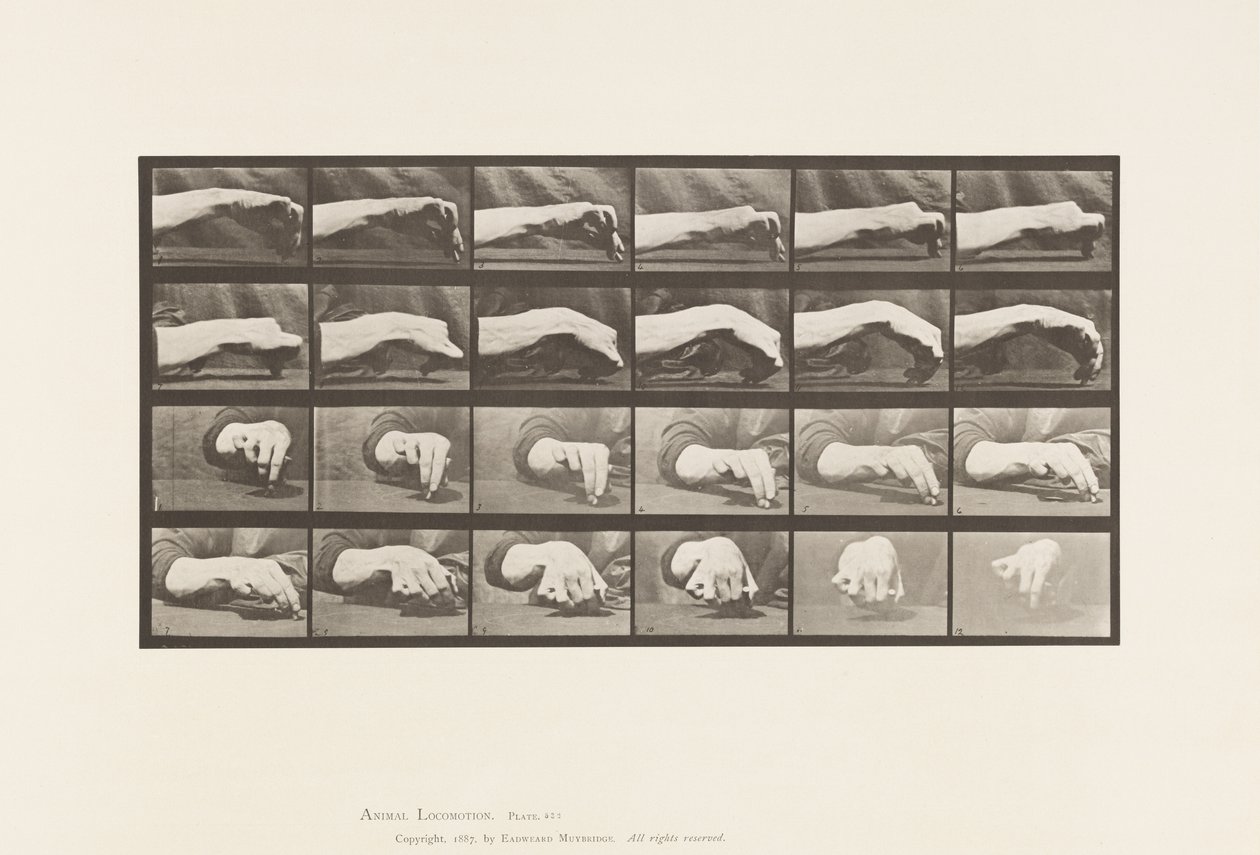Planche 532. Mouvement de la main; Dessiner un cercle - Eadweard Muybridge
