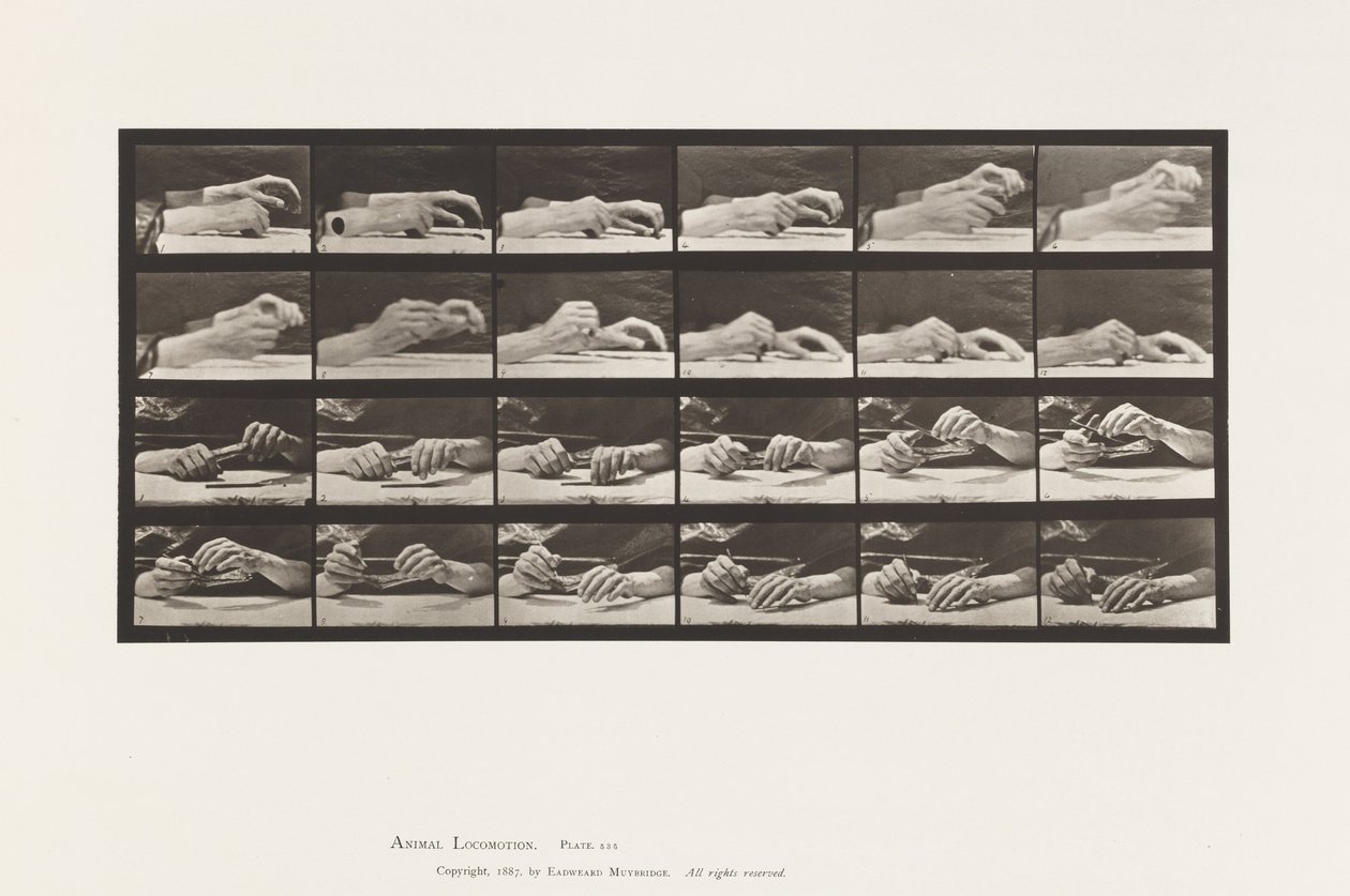 Mouvement de la main; mains changeant de crayon - Eadweard Muybridge