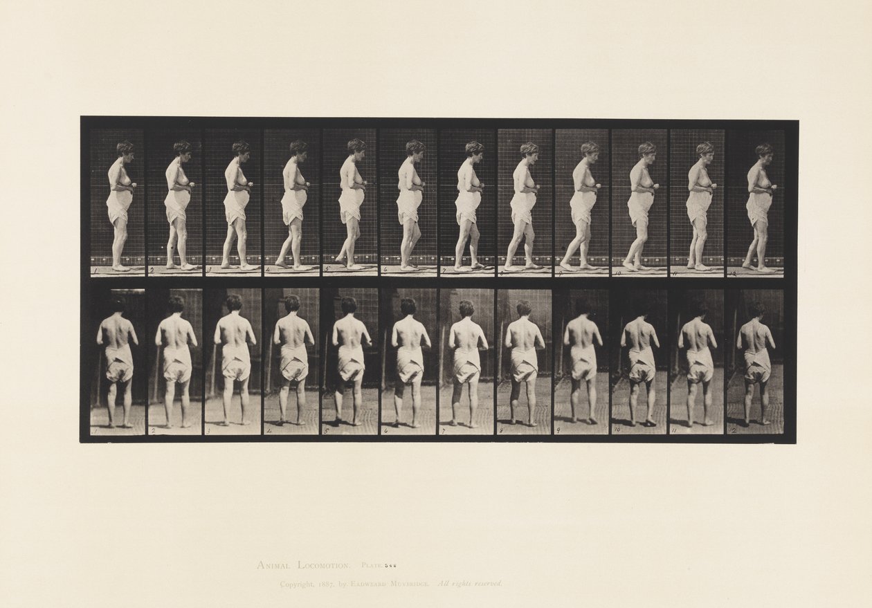 Planche 542. Sclérose cérébro-spinale multiple - Marche - Eadweard Muybridge