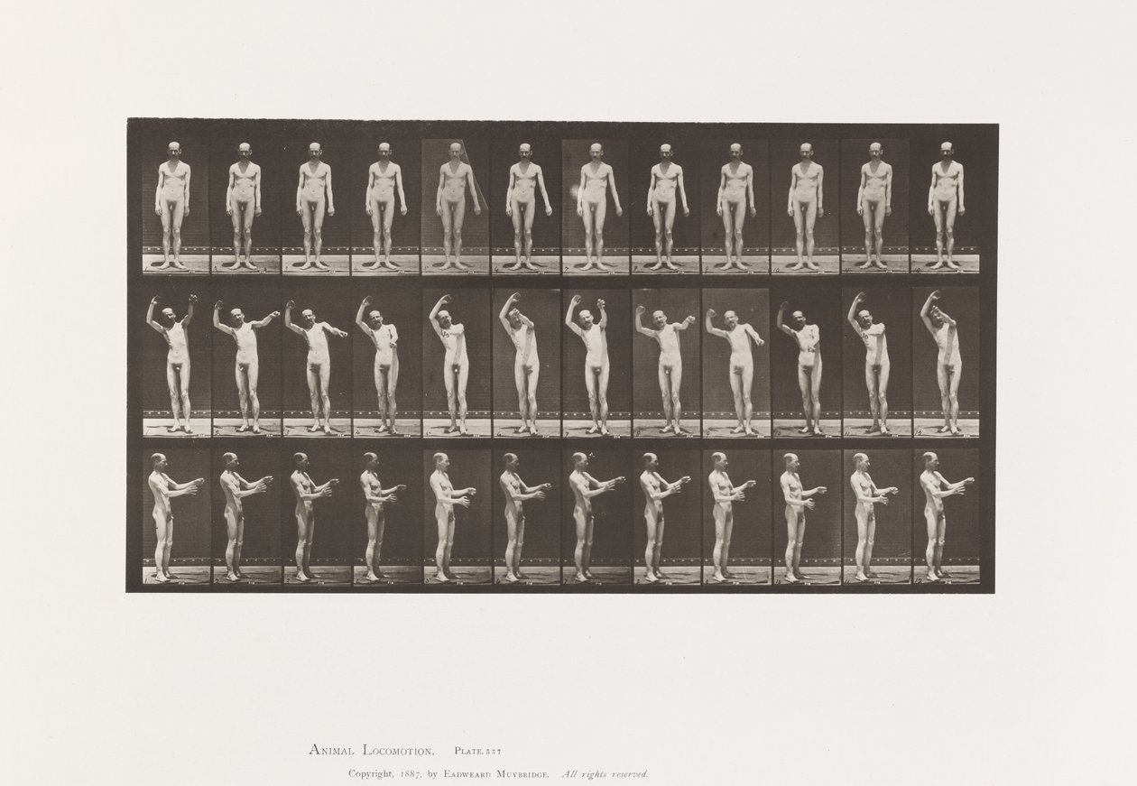 Chorée locale; A, B, C, en position debout - Eadweard Muybridge