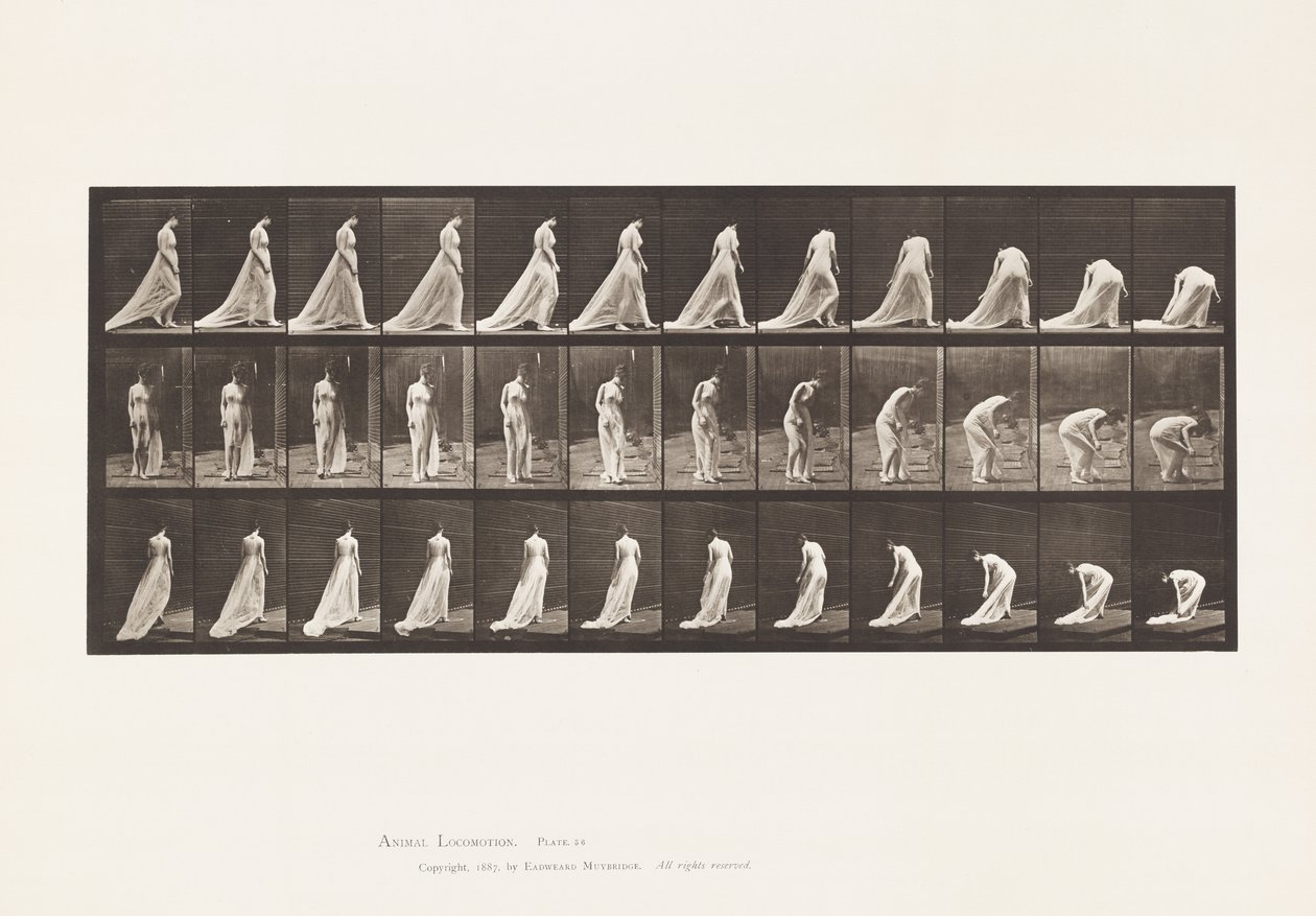 Planche 56. Marcher, tourner et se pencher pour soulever une traîne - Eadweard Muybridge