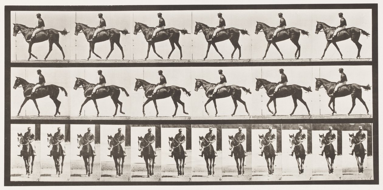 Marche; Selle; Jument baie pur-sang Annie G., 1885 - Eadweard Muybridge