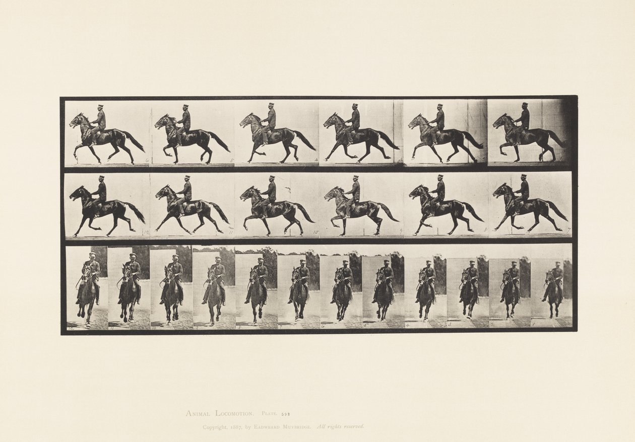 Planche 593. Balancement (Amble); Selle; Cheval Brun Pronto - Eadweard Muybridge