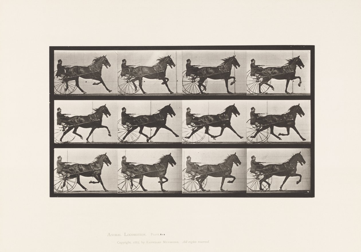 Planche 606. Trot; Sulky; Cheval Bai, Reuben - Eadweard Muybridge