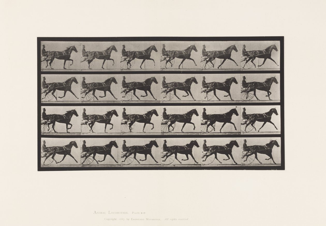 Planche 608. Trot; Sulky; Jument Alezane, Flode Holden - Eadweard Muybridge