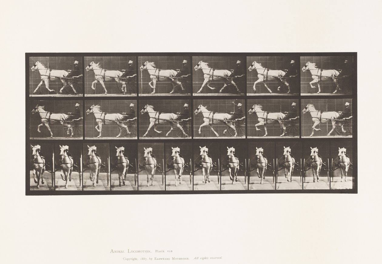 Planche 610. Trotter; Sulky; Jument grise, Katydid - Eadweard Muybridge