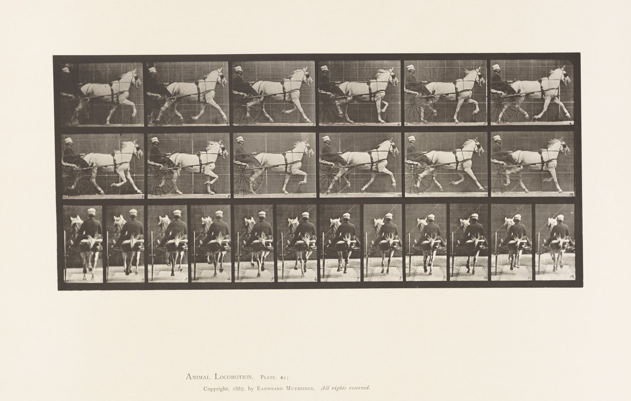 Planche 611. Trot; Sulky; Jument Grise, Katydid - Eadweard Muybridge