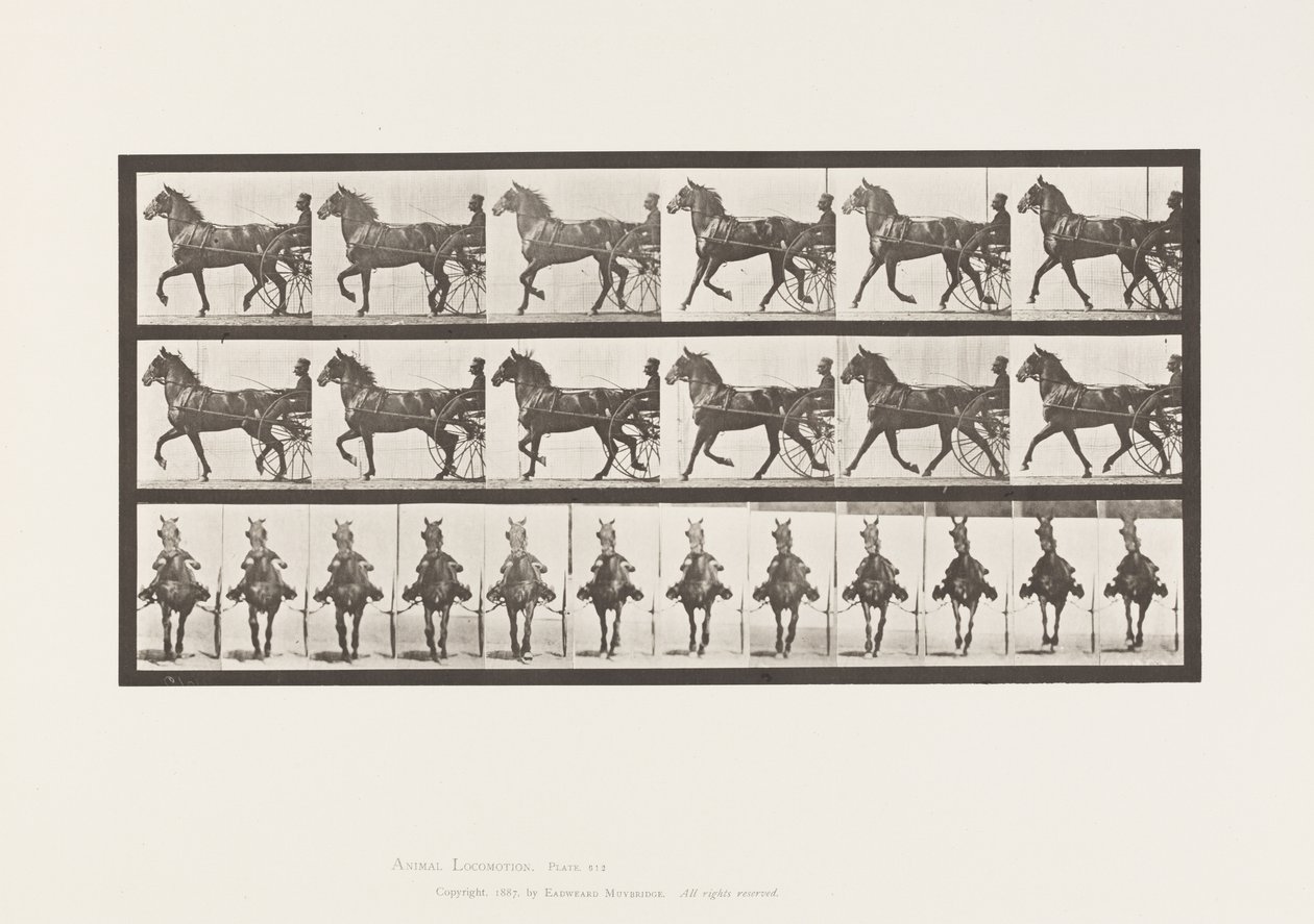 Planche 612. Trot; Sulky; Cheval Bai, Dereumd - Eadweard Muybridge