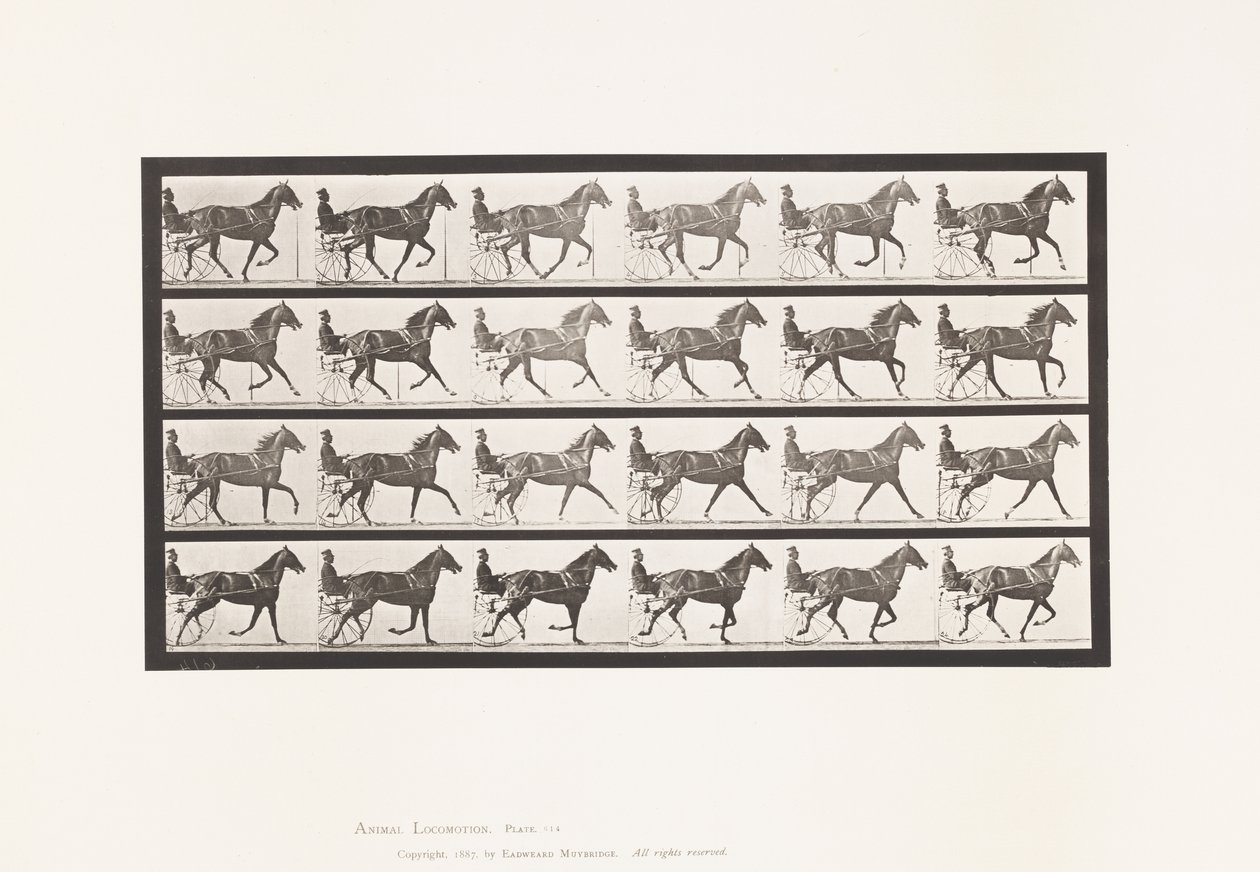 Planche 614. Trot; Passage au Galop; Jument Alezane Flode Holden - Eadweard Muybridge