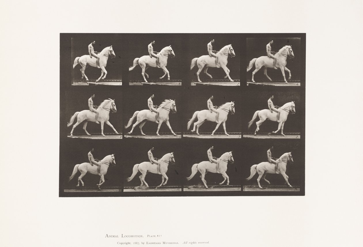 Planche 617. Galop; À cru; Cavalier, 106, Nu; Cheval blanc Clinton, 1885 - Eadweard Muybridge