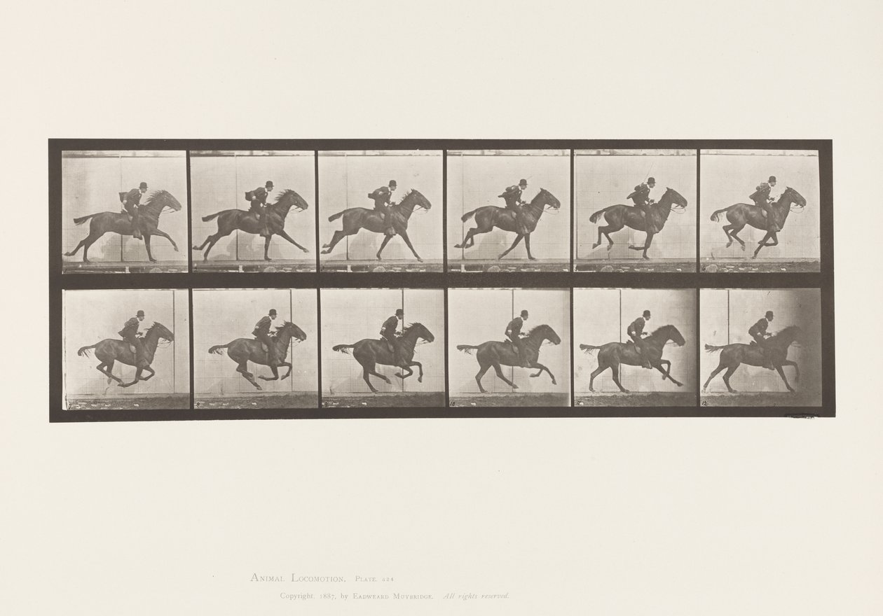 Planche 624. Galop; Selle; Cheval Bai Daisy - Eadweard Muybridge