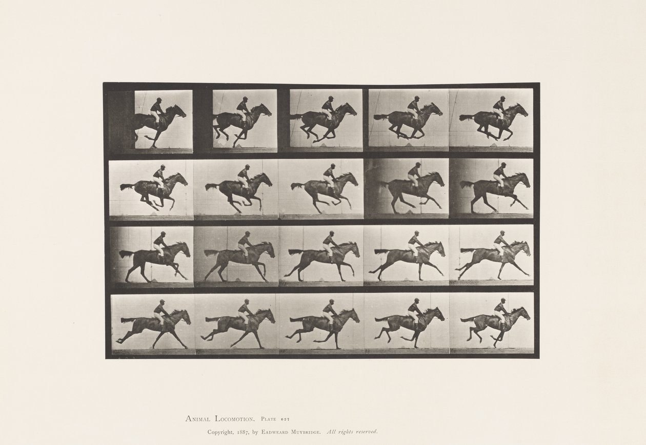 Planche 627. Galop; Jument Pur-Sang Baie Annie G. - Eadweard Muybridge