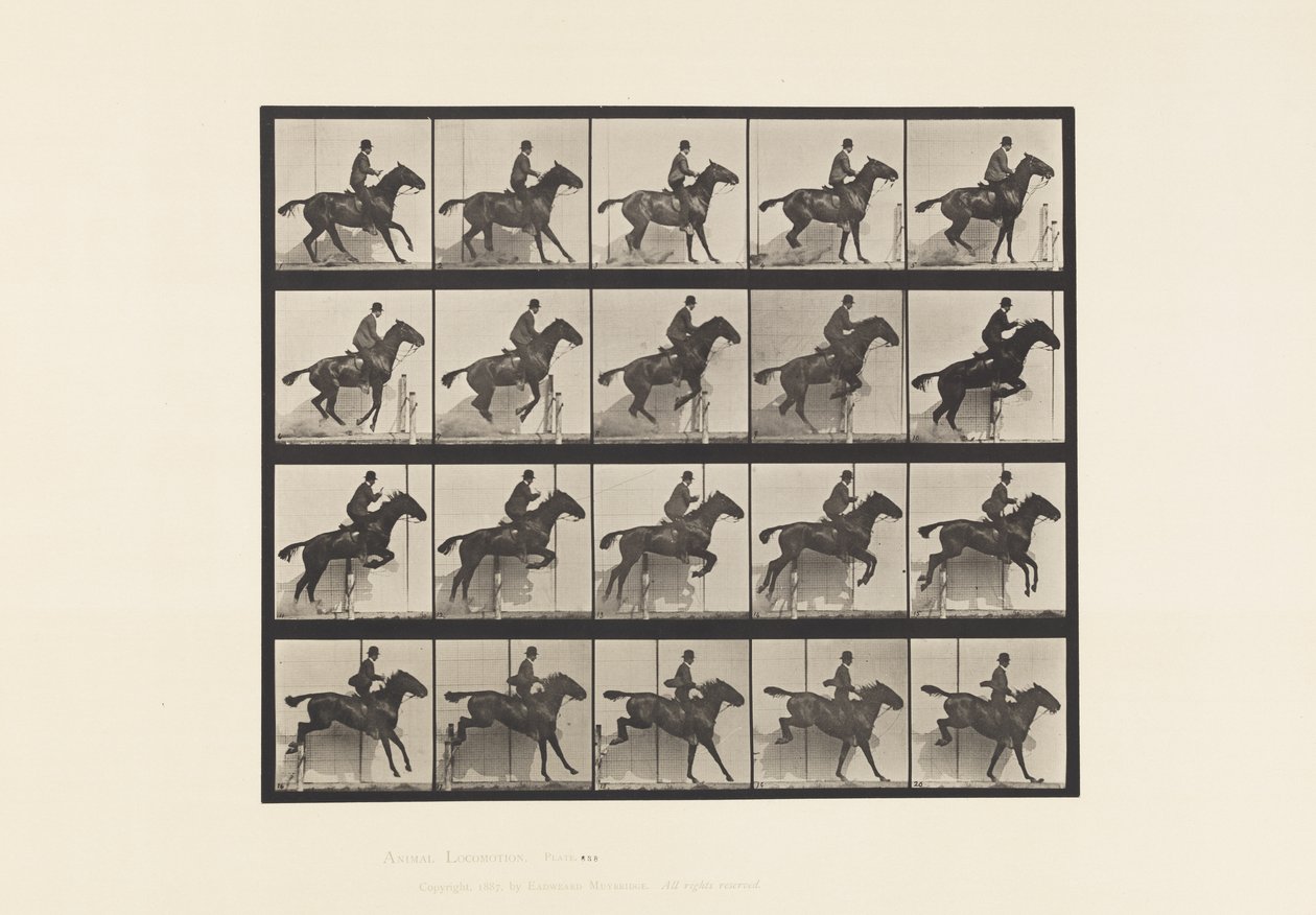 Planche 638. Sauter une Haie; Selle; Cheval Bai Daisy - Eadweard Muybridge