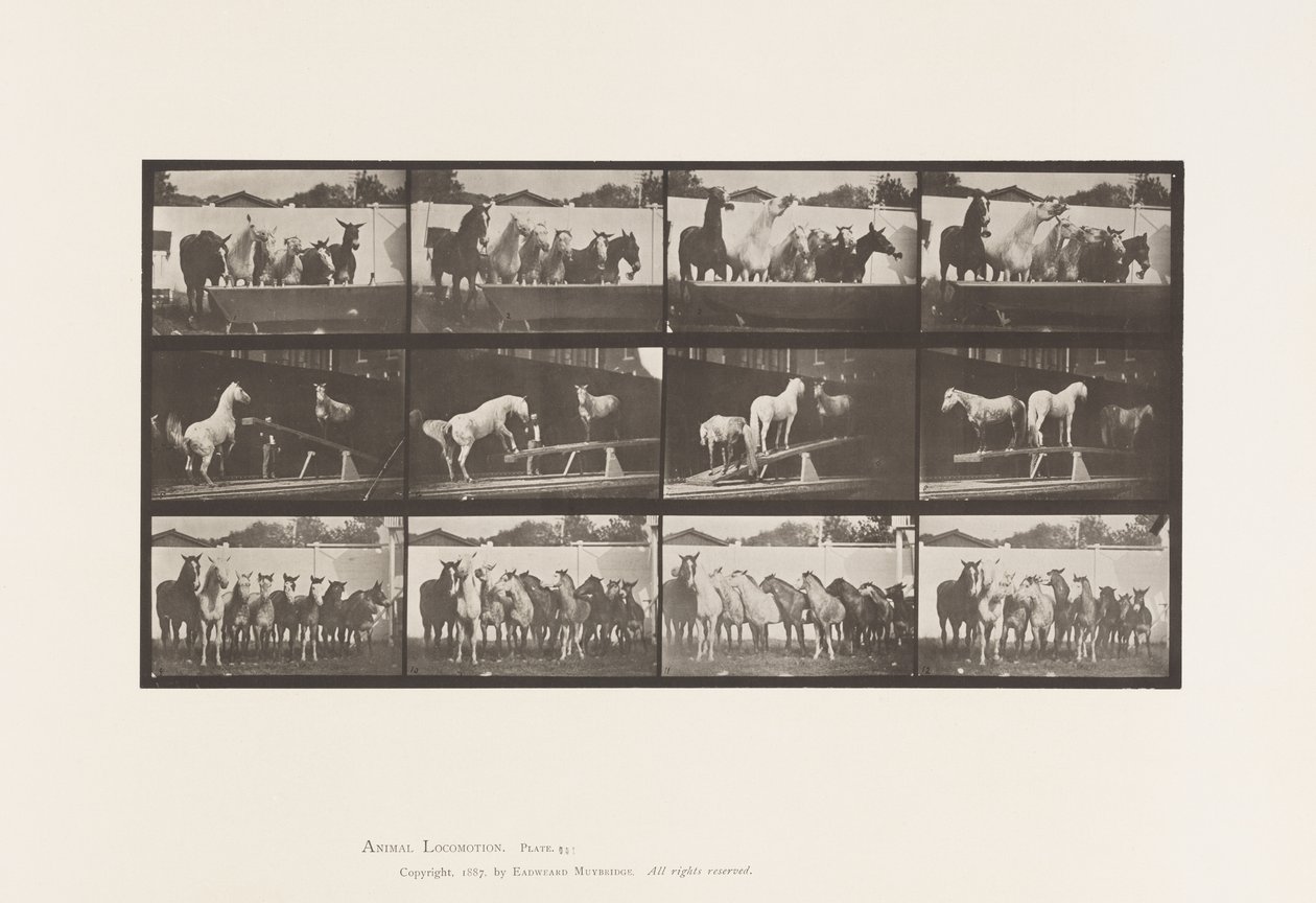 Planche 651.A, Sonnerie de cloche; B, Planchette; C, Exercice Militaire - Eadweard Muybridge