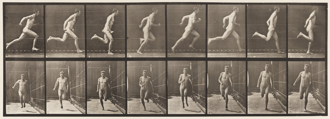 Planche 67. Courir - Eadweard Muybridge