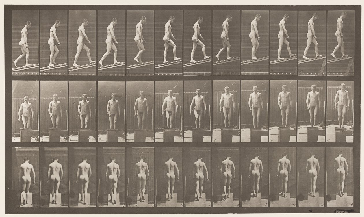 Planche 74. Montée inclinée, angle 1 sur 4 - Eadweard Muybridge