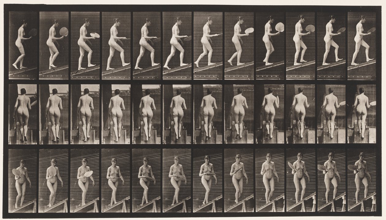 Planche 78. Montée d