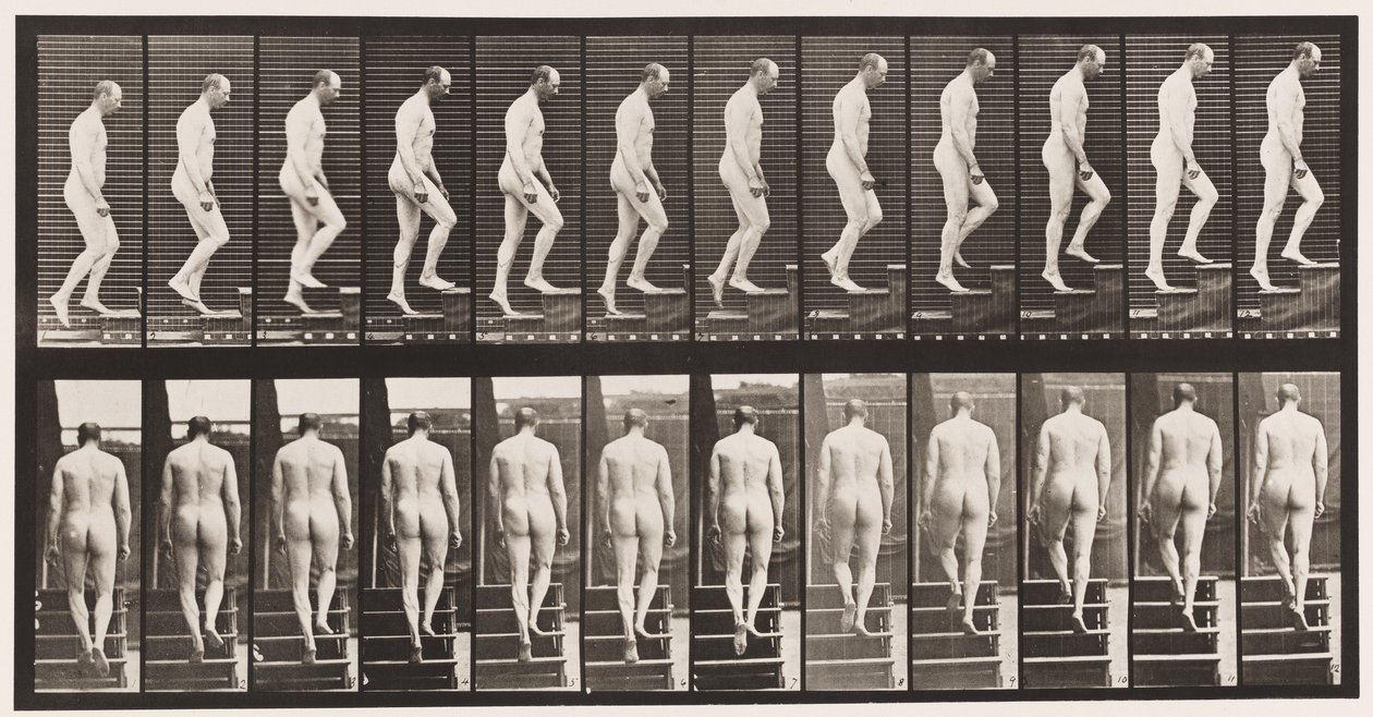 Planche 89. Monter les escaliers - Eadweard Muybridge