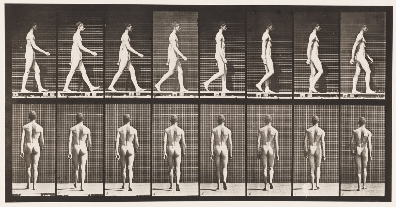 Planche 8. Marcher - Eadweard Muybridge