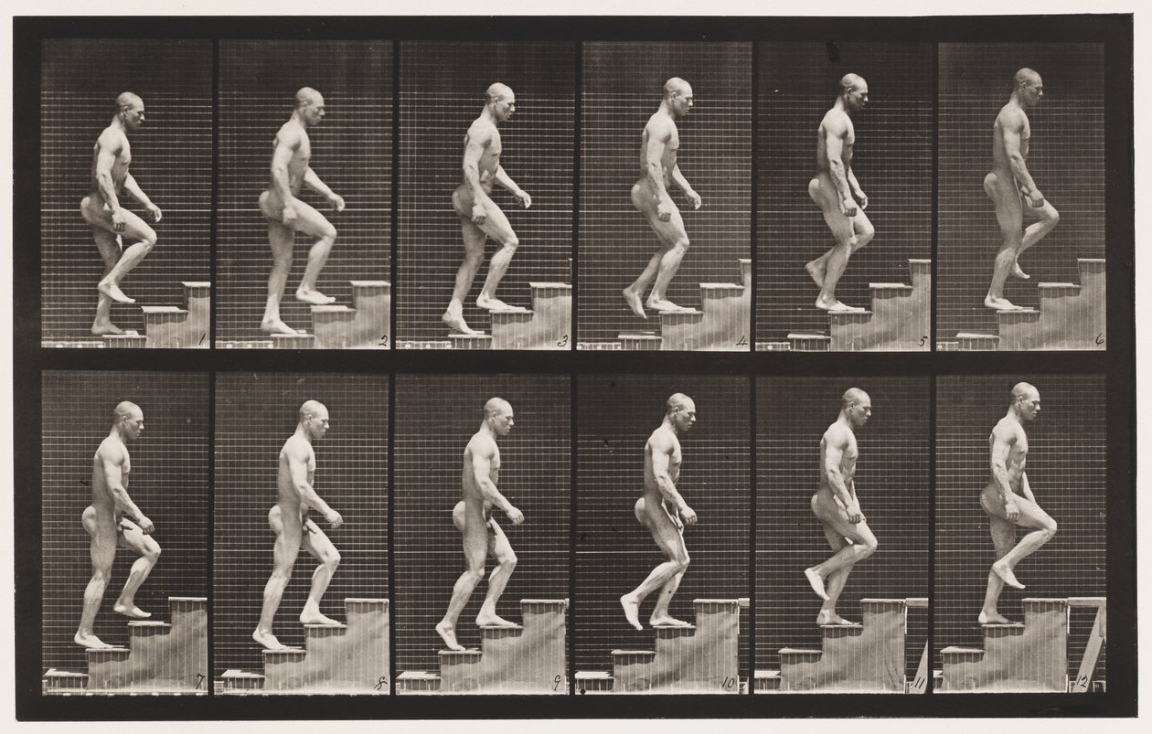 Planche 91. Monter les escaliers - Eadweard Muybridge