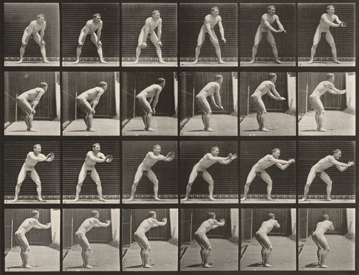 Planche numéro 280. Baseball, réception - Eadweard Muybridge