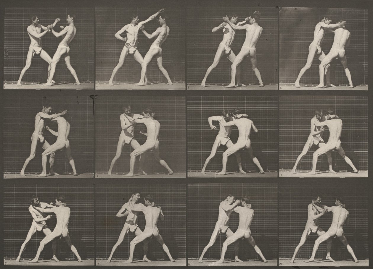 Planche numéro 340. Boxe, main ouverte - Eadweard Muybridge