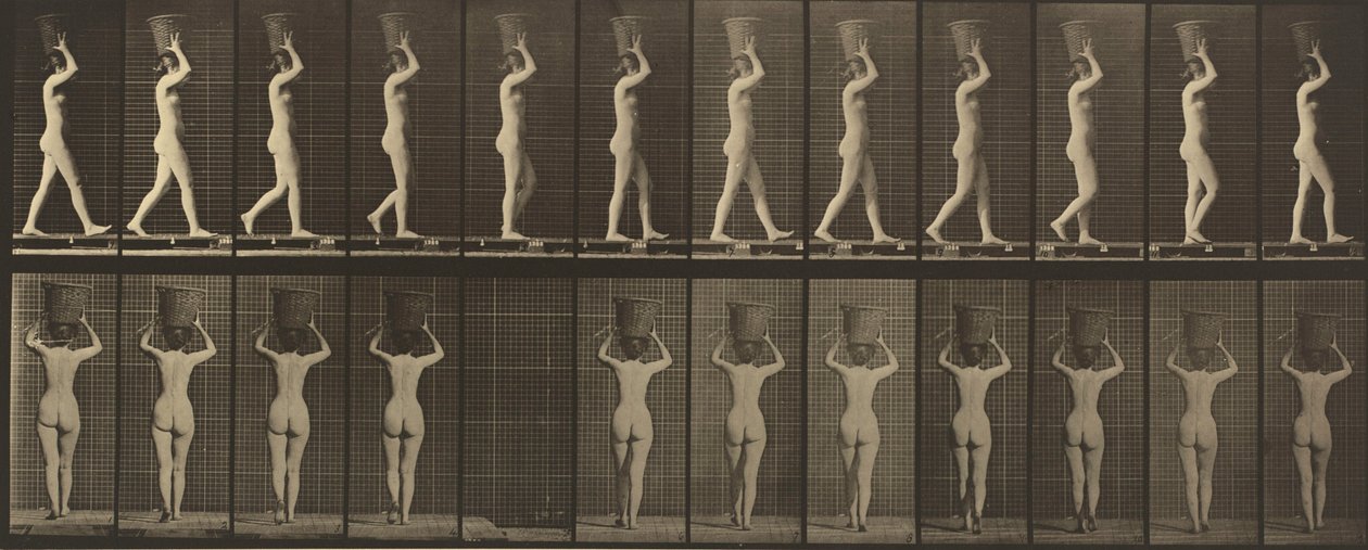 Planche numéro 34. Marchant et portant un panier de 15 livres sur la tête, les mains levées, 1887 (photo) - Eadweard Muybridge